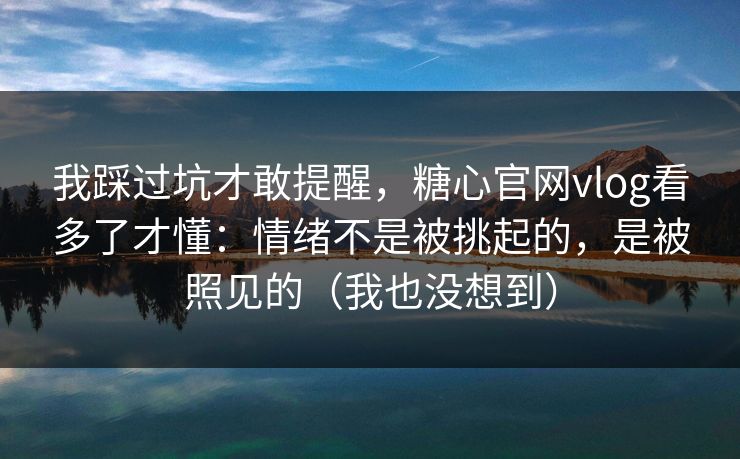 我踩过坑才敢提醒，糖心官网vlog看多了才懂：情绪不是被挑起的，是被照见的（我也没想到）
