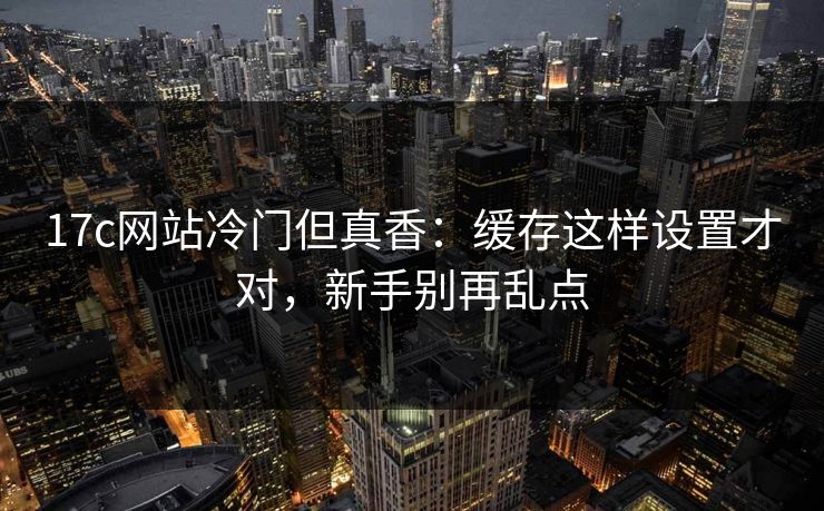 17c网站冷门但真香：缓存这样设置才对，新手别再乱点