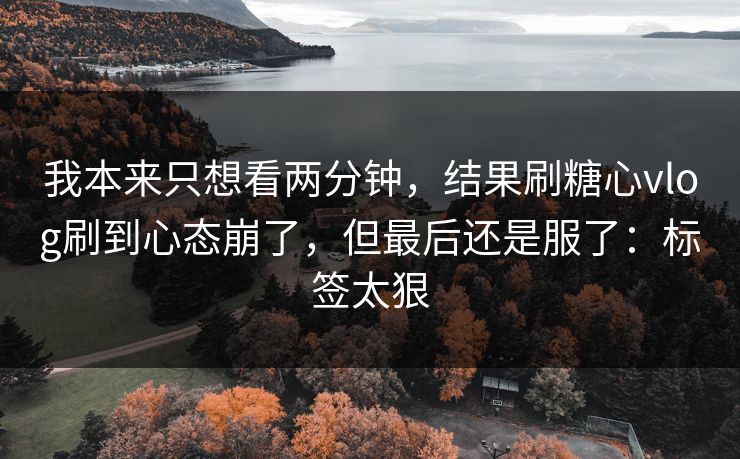 我本来只想看两分钟，结果刷糖心vlog刷到心态崩了，但最后还是服了：标签太狠