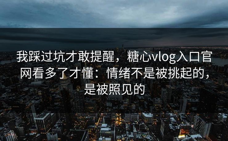 我踩过坑才敢提醒，糖心vlog入口官网看多了才懂：情绪不是被挑起的，是被照见的