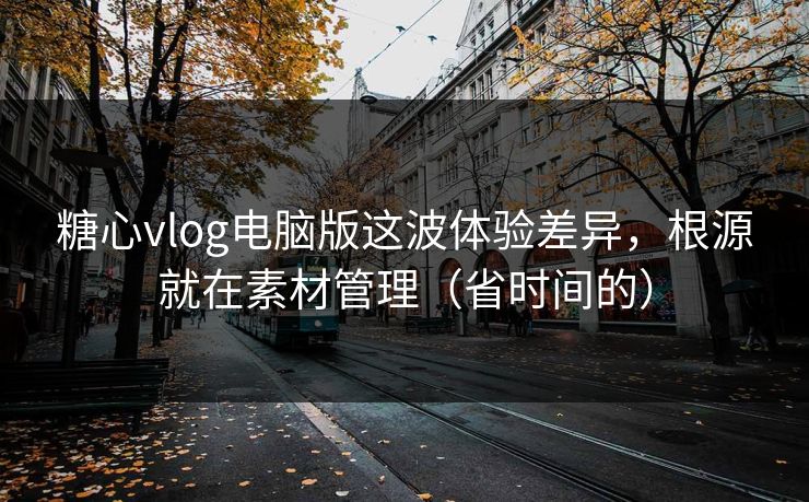 糖心vlog电脑版这波体验差异，根源就在素材管理（省时间的）
