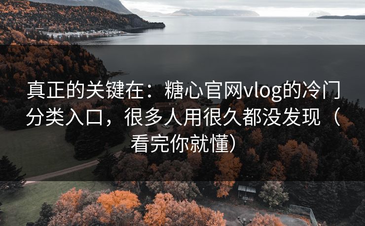 真正的关键在：糖心官网vlog的冷门分类入口，很多人用很久都没发现（看完你就懂）