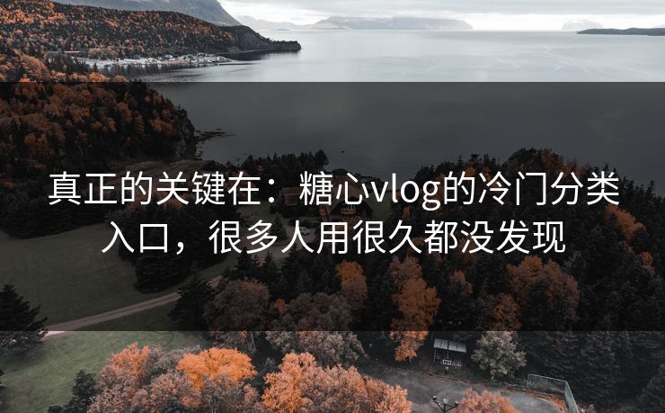 真正的关键在：糖心vlog的冷门分类入口，很多人用很久都没发现