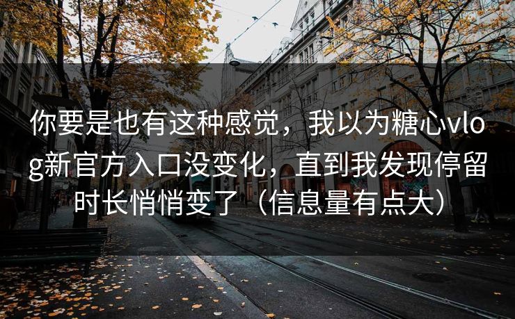 你要是也有这种感觉，我以为糖心vlog新官方入口没变化，直到我发现停留时长悄悄变了（信息量有点大）