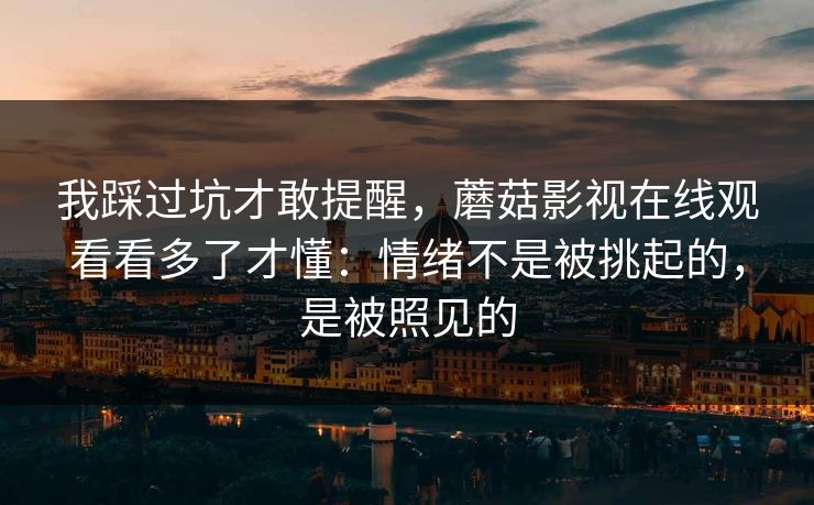 我踩过坑才敢提醒，蘑菇影视在线观看看多了才懂：情绪不是被挑起的，是被照见的