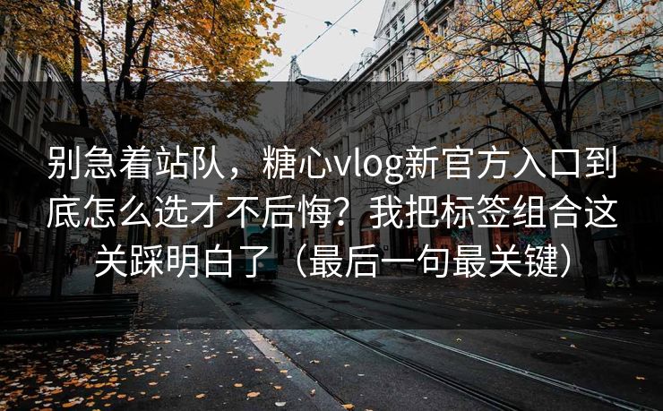 别急着站队，糖心vlog新官方入口到底怎么选才不后悔？我把标签组合这关踩明白了（最后一句最关键）