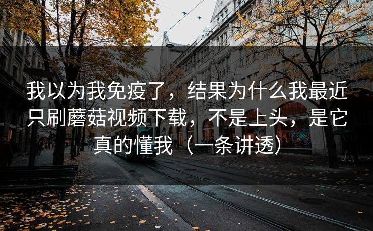 我以为我免疫了，结果为什么我最近只刷蘑菇视频下载，不是上头，是它真的懂我（一条讲透）