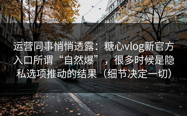 运营同事悄悄透露：糖心vlog新官方入口所谓“自然爆”，很多时候是隐私选项推动的结果（细节决定一切）